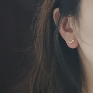 925-Sterling-Silver-Korean-Version-Simple-Gradient-Star-Stud-Earrings-Women-Exquisite-Sweet-Student-Platin-14k-1.webp