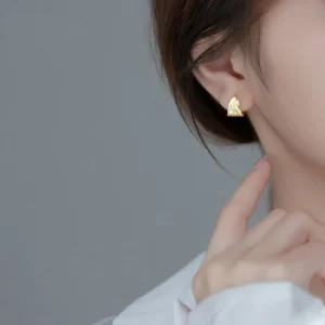 Authentic-925-Sterling-Silver-Irregular-Luxury-Ear-Round-Circle-Hoop-Earrings-for-Women-1.webp