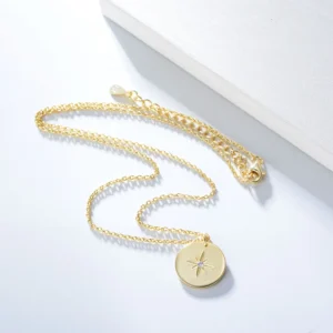Fulsun-INS-925-Silver-Jewelry-Round-Medal-Eight-pointed-Star-Pendant-14K-Gold-Plated-Choker-Link-2.webp